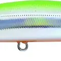 205