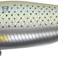 281