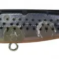 351