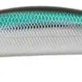 L-164