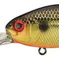 355