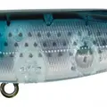 PP505