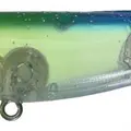 PP567