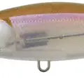 817