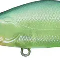 667