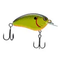 CHARTREUSE BLACK BACK