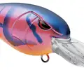 ELECTRIC RED CRAW