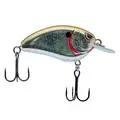 CHROME OLIVE