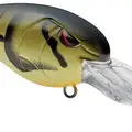 GREEN CRAW