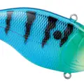 BLUE PERCH