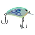 CITRUS SHAD