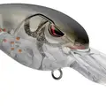 GHOST ORANGE CRAW