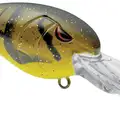 OZARK CRAW
