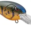 OLIVE CRAW