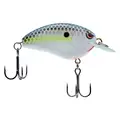 NASTY SHAD