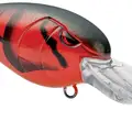 RED BUG