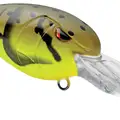 SPRING CRAW