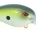 MD 55 AYU SHAD