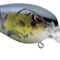 MD 55 GOBY