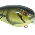 MD 55 GREEN CRAW