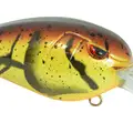MD 55 MOLTING CRAW