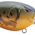 MD 55 OLIVE CRAW