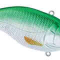 GREEN SHINER