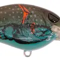 MD BLUEGRASS CRAW