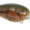 MD 55 PHANTOM BROWN