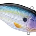 MAGIC SHAD