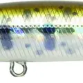 810