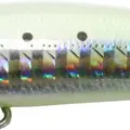 620