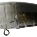 L-116