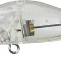 251