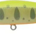 291