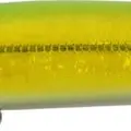 665
