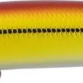703