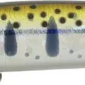 810