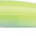 579