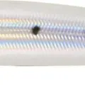779