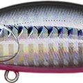 590