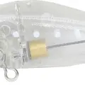 251