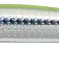 658
