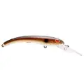 WHITESTONE GOBY