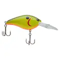 CHARTREUSE BLACK BACK