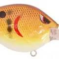 HONEY CRAW
