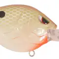 HONEY SHAD