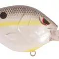 NASTY SHAD