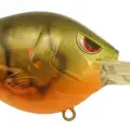 OLIVE CRAW