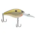 COPPER SHAD